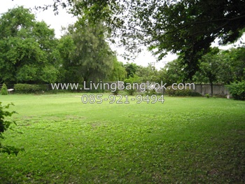 Huge Yard House for Rent in Sukhumvit77(On Nut) Bangkok.
